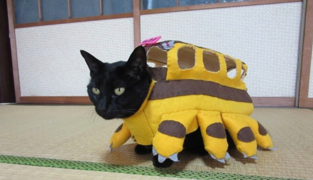 Cat Cosplay on Twitter tumblr And Cat Deluxe httpstcouxw5CmeZ3A   Twitter